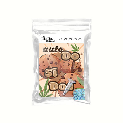 Auto Do Si Dos Samen > Linda Seeds | Autoflowering Hanfsamen  |  Indica